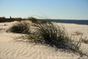 Edgartown Art Gallery