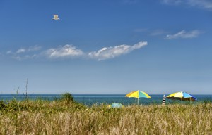 Things to Do on Martha's Vineyard