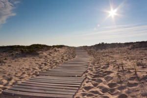 Martha's Vineyard Beaches