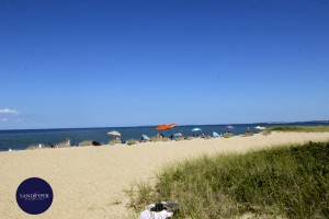 oak bluffs beaches